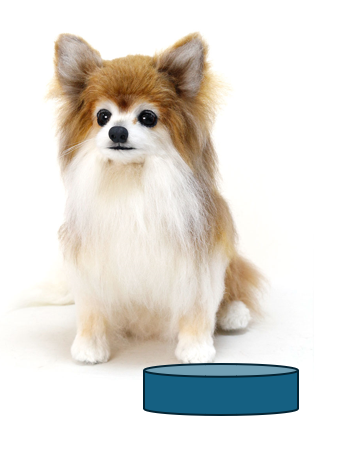 ワンダフルの写真